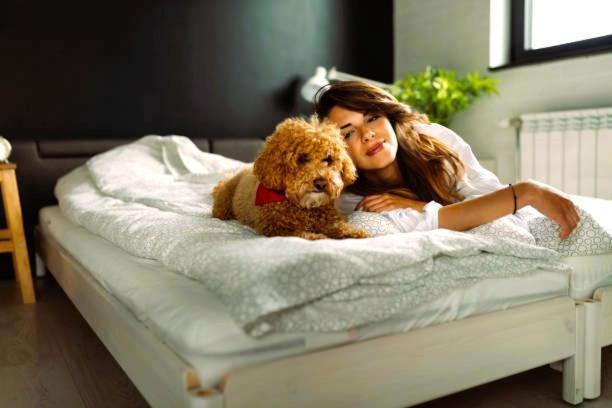 Urban Oasis Apartment Grand Forks Ngoại thất bức ảnh